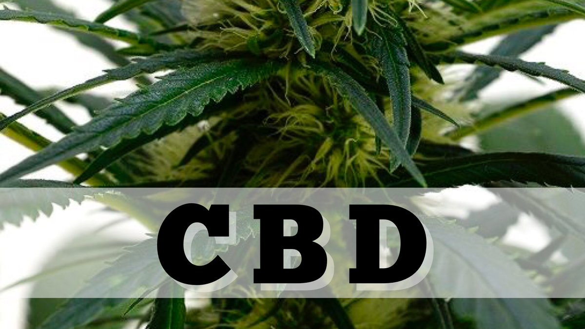 MMJDOCTORONLINE's tweet photo. #CBD medical properties:
anti-inflammatory
anti-psychosis
anti-insomnia
anti-pain
anti-seizure
#medicalmarijuana #cannabiscommunity 
#MMjpatients https://t.co/kN0bKV5uIV