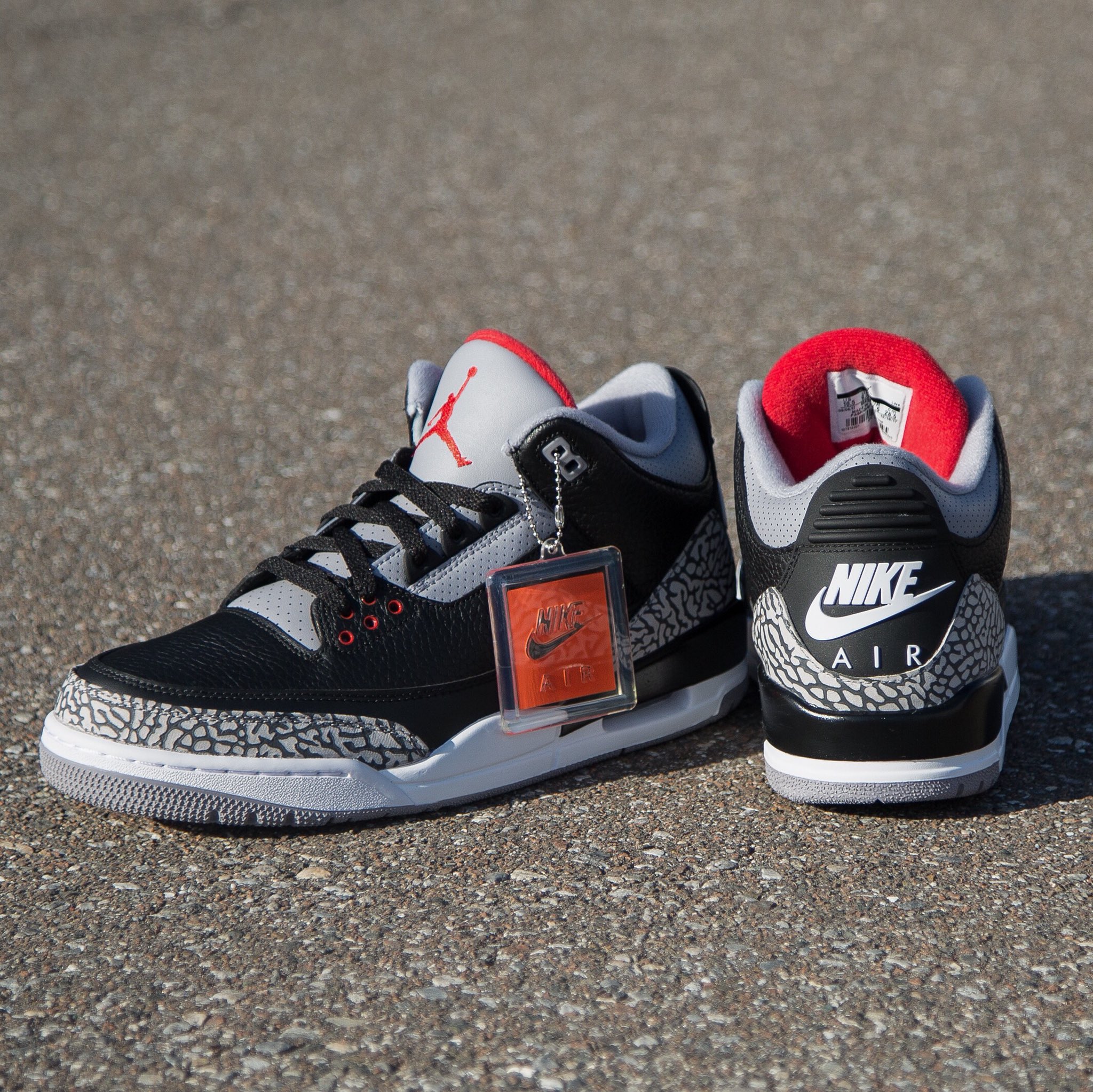 champs air jordan 3