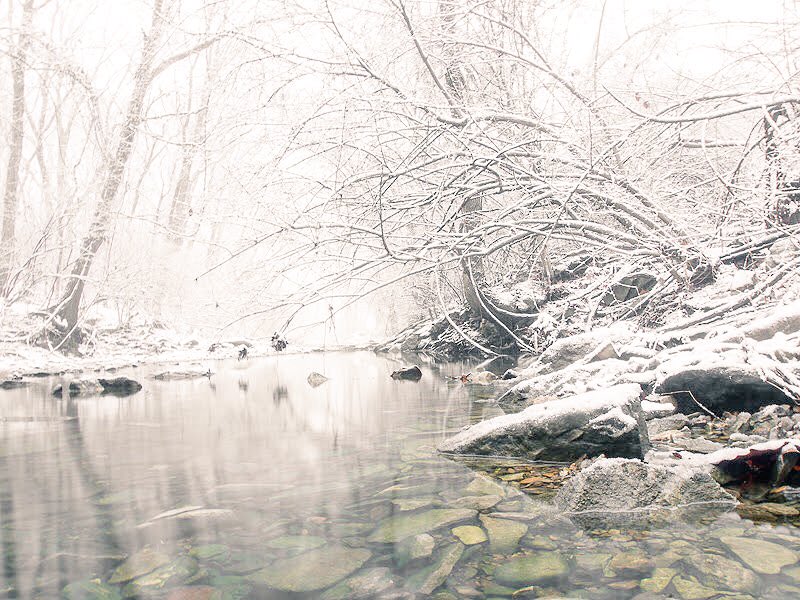 boundlssjrny's tweet photo. Snowy Saturday ❄️ #snowday #snow #snowy #Saturday #River #water #naturelover #landscapephotography https://t.co/KzbKaU7vY7