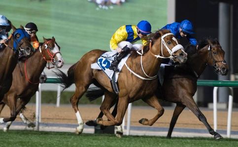 Shaheel07's tweet photo. Baroot wins at Meydan ! 2nd winner for #MDKRacing at the #DWCCarnival 
Brilliant ride by @CSoumillon https://t.co/1GVjW6xaZ8