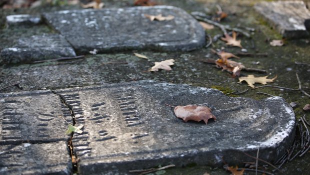 ndccharity's tweet photo. Canada: #GreenBurials cheaper and legal, says funeral director @CBCNews https://t.co/GsEw9QvpeB #NaturalBurialNews #GreenBurial #NaturalDeathMovement https://t.co/golhhhzazD