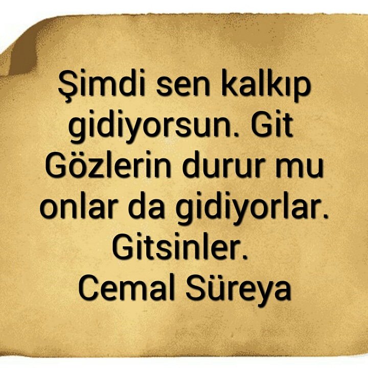 CemalSureya_62 tweet picture