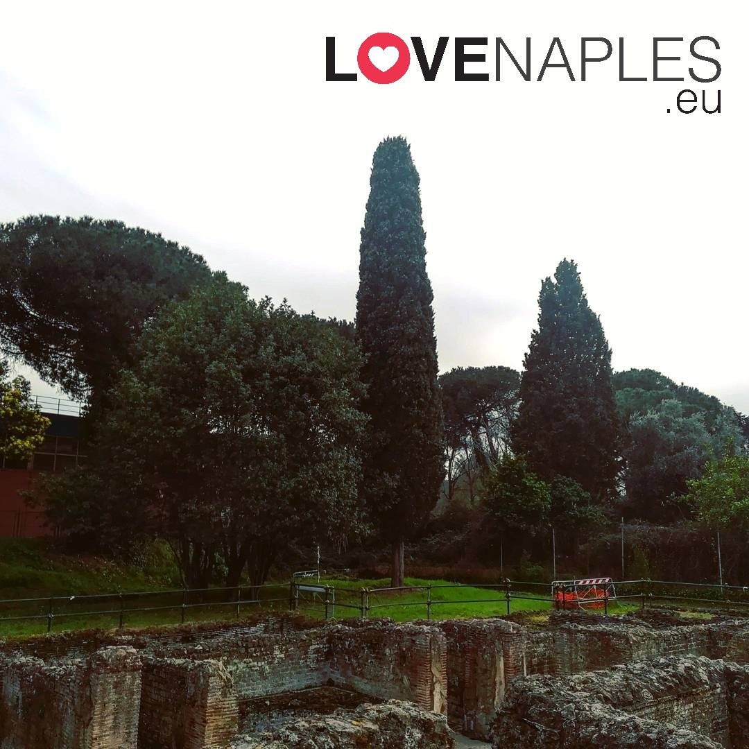 LoveNaplesEu's tweet photo. Non perdete, domani 18 Febbraio, l'appuntamento con il Gruppo Archeologico Napoletano per la visita gratuita alle splendide Terme Romane di via Terracina!
Foto di @SimoNetOnTheNet
#Napoli #Terme #TermeRomane #viaTerracina #archeologia #gruppoarcheologiconapoletano #Sud https://t.co/pFkNtUGDEa