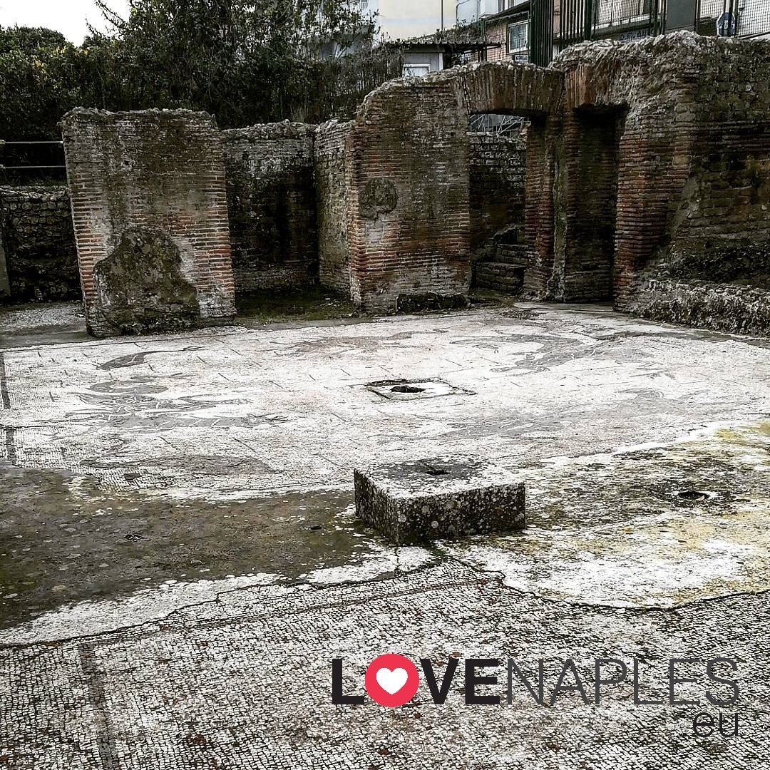 LoveNaplesEu's tweet photo. Non perdete, domani 18 Febbraio, l'appuntamento con il Gruppo Archeologico Napoletano per la visita gratuita alle splendide Terme Romane di via Terracina!
Foto di @SimoNetOnTheNet
#Napoli #Terme #TermeRomane #viaTerracina #archeologia #gruppoarcheologiconapoletano #Sud https://t.co/pFkNtUGDEa