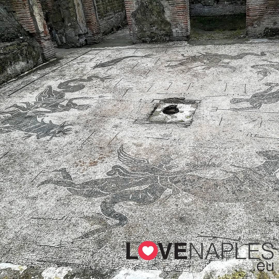 LoveNaplesEu's tweet photo. Non perdete, domani 18 Febbraio, l'appuntamento con il Gruppo Archeologico Napoletano per la visita gratuita alle splendide Terme Romane di via Terracina!
Foto di @SimoNetOnTheNet
#Napoli #Terme #TermeRomane #viaTerracina #archeologia #gruppoarcheologiconapoletano #Sud https://t.co/pFkNtUGDEa