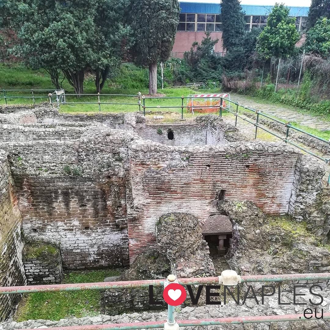 LoveNaplesEu's tweet photo. Non perdete, domani 18 Febbraio, l'appuntamento con il Gruppo Archeologico Napoletano per la visita gratuita alle splendide Terme Romane di via Terracina!
Foto di @SimoNetOnTheNet
#Napoli #Terme #TermeRomane #viaTerracina #archeologia #gruppoarcheologiconapoletano #Sud https://t.co/pFkNtUGDEa