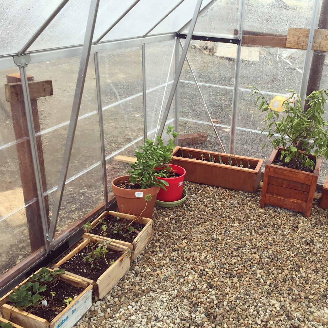 CanopiabyPalram's tweet photo. Brandt and Jeniffer installed a Balance 8x12 greenhouse in their Farm.
“I am in the middle of seed prepping for our farms for the upcoming year and our greenhouse is under a lot of change.”
#greenhouse #farming #Seeds #palram https://t.co/FDdLeJasv0