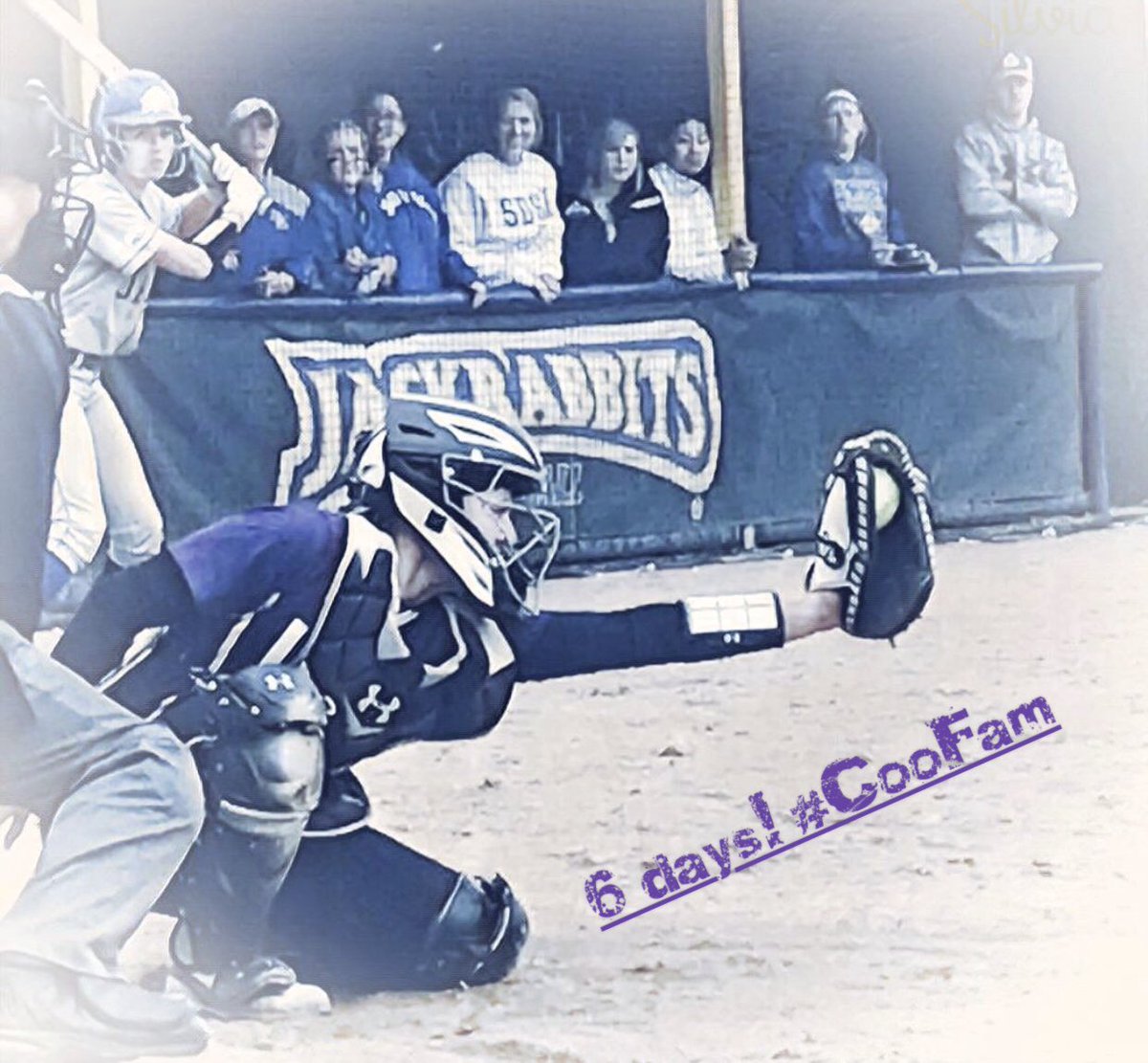 USFCougarsSB's tweet photo. Time for our newbies to get in the countdown action! Taking us to 6 days is FR #16 Emmie Uitts! #yeahpurp #CooFam https://t.co/FiIK1CvHvD