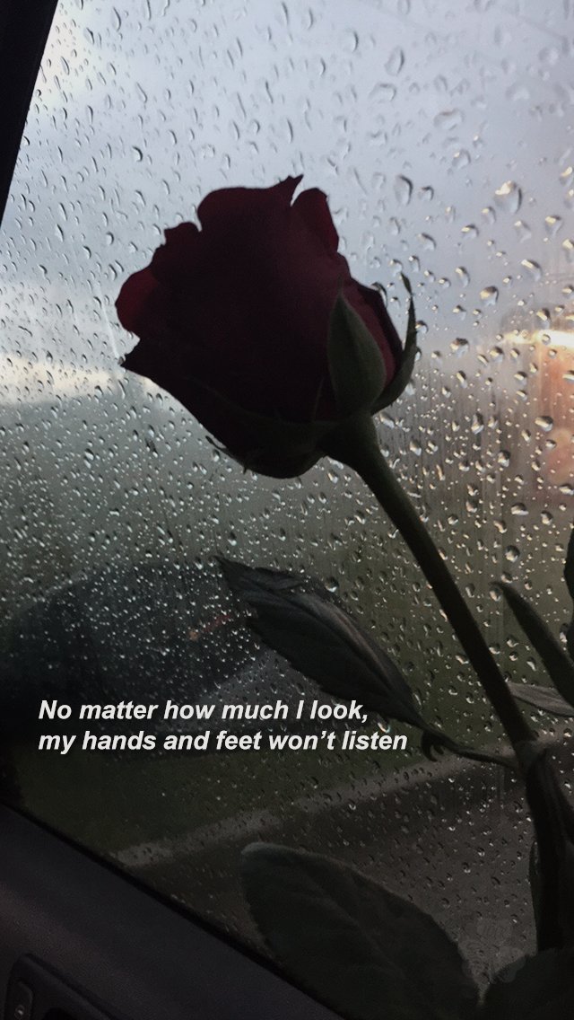 wholockscreen's tweet photo. ☁️ Shinin' - Jonghyun (Lyrics) ☁️
- rt se salvar
- fav se gostar
- não reposte as locks
Kah 💦 https://t.co/Yegyjybaks