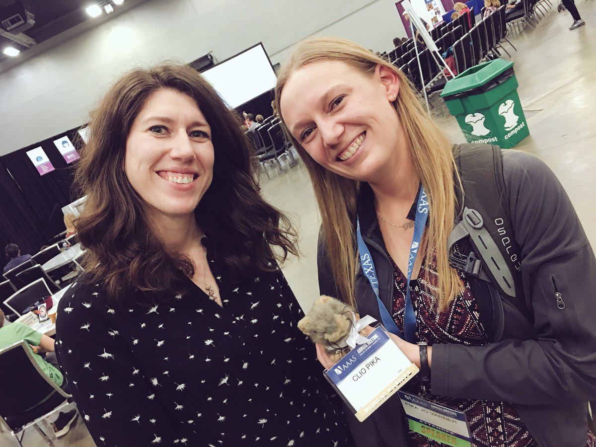 Thomas Walla tweet media