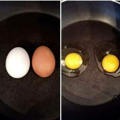 I believe the human race could learn alot from this photo....