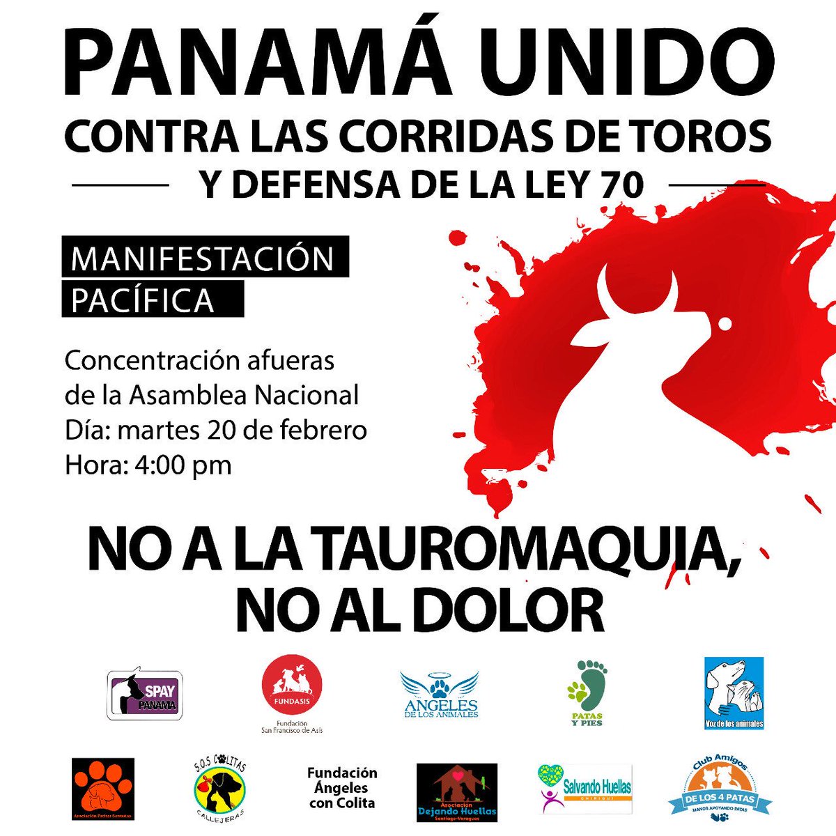Fundación San Francisco de Asís ( FUNDASIS ) tweet media