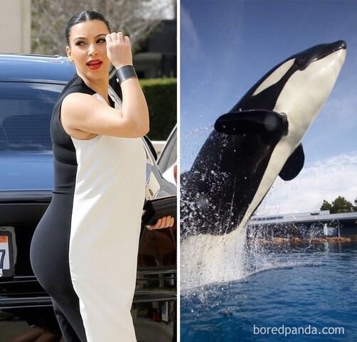 yedaanna's tweet photo. Ever wondered where fashion designers get their inspirations from? 

Its no longer a secret now! https://t.co/KruoWL7OCJ