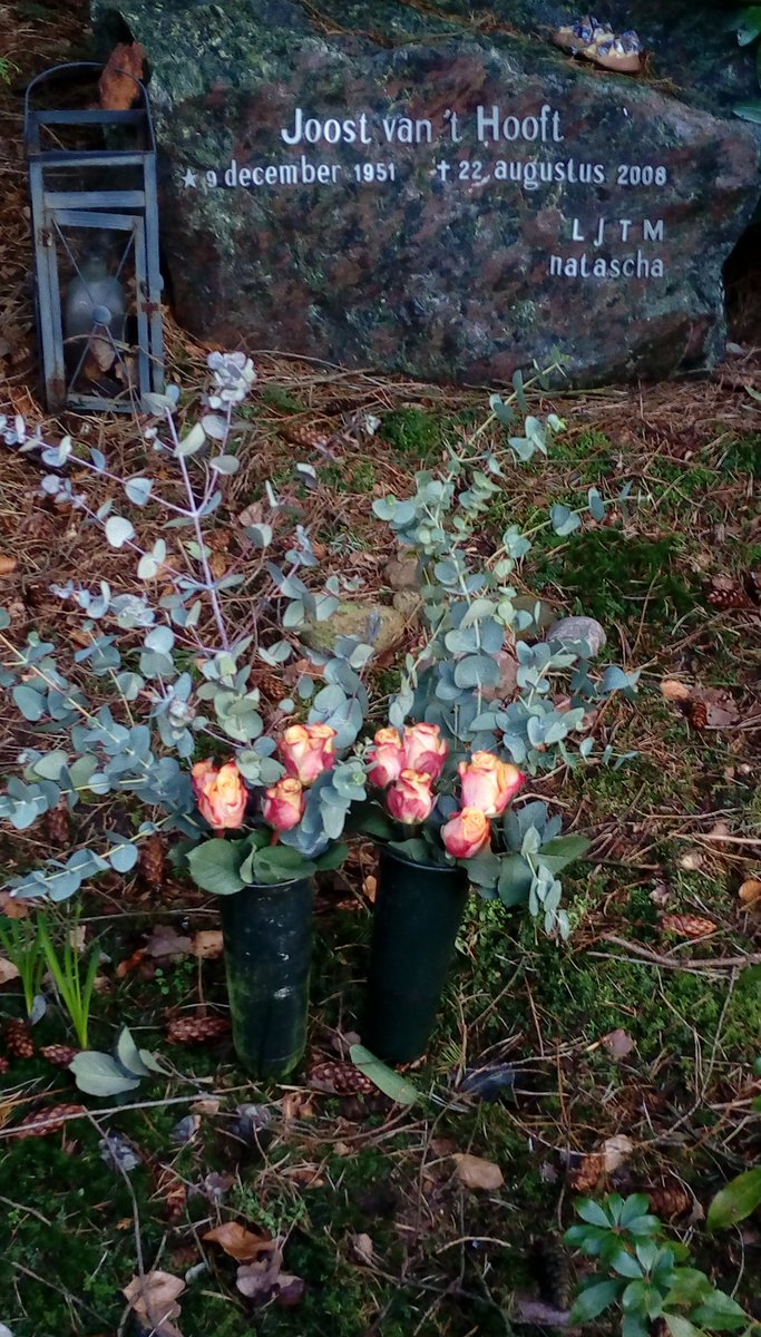 nataschavthooft's tweet photo. Wat een prachtige zonnige dag om bloemen te brengen bij de liefste. 
Rozen voor de liefde. Eucalyptus voor de Australische herinneringen en dromen. #ljtm https://t.co/4xIfZUUg24