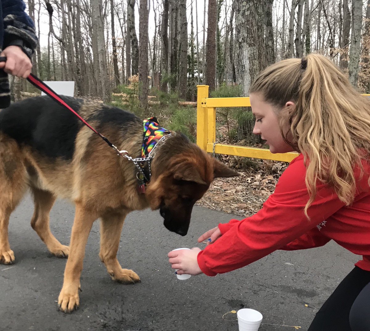 popsicle5k's tweet photo. What a great morning!! Thank you to all of the volunteers, runners, and furry friends that made it possible😜 https://t.co/JKsjTBFMzP