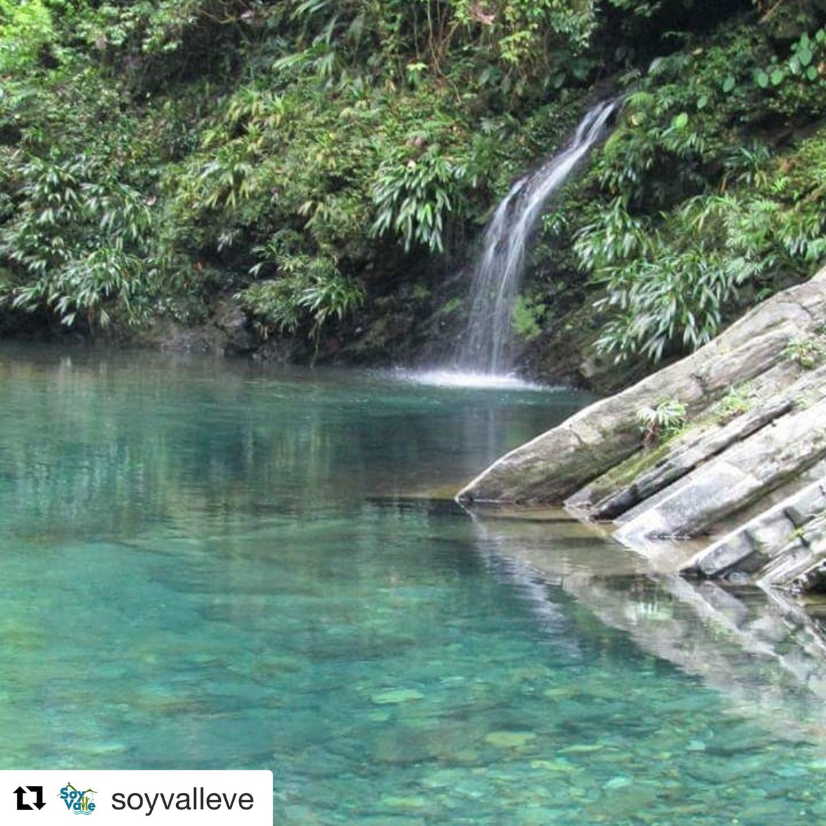 TurismoValle's tweet photo. Sabes que puedes disfrutar de este y otros paraísos en nuestro departamento? Anímate y conoce! #buenaventura Agua Clara #valledelcauca  #colombia  foto por: @soyvalleve https://t.co/XRJEtyQNw5