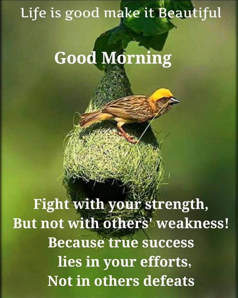shaeerly's tweet photo. @ilovequotebooks https://t.co/9ZnxYZPa7r
