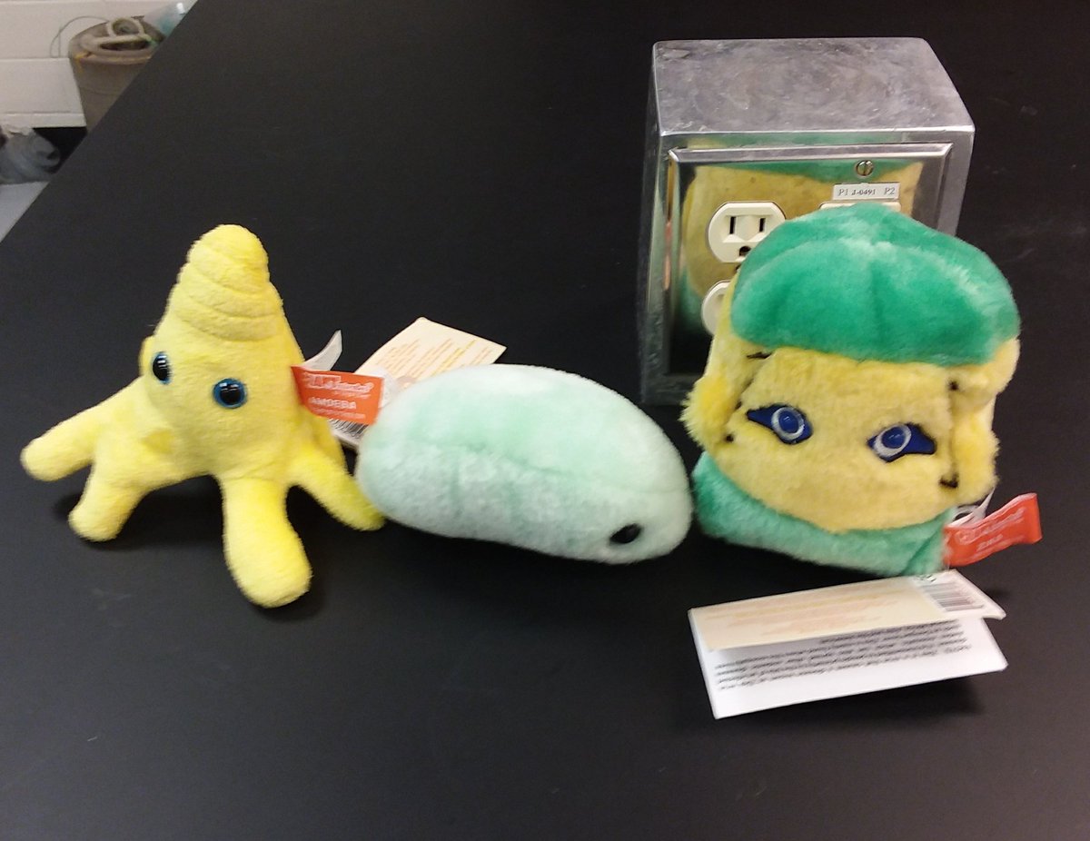 GermJuggler's tweet photo. It's time for #ScienceOlympiad2018 @MissouriSandT The @GIANTmicrobes are ready for #MicrobeMission @SOAlumniNetwork https://t.co/kZFr0ZlKKo