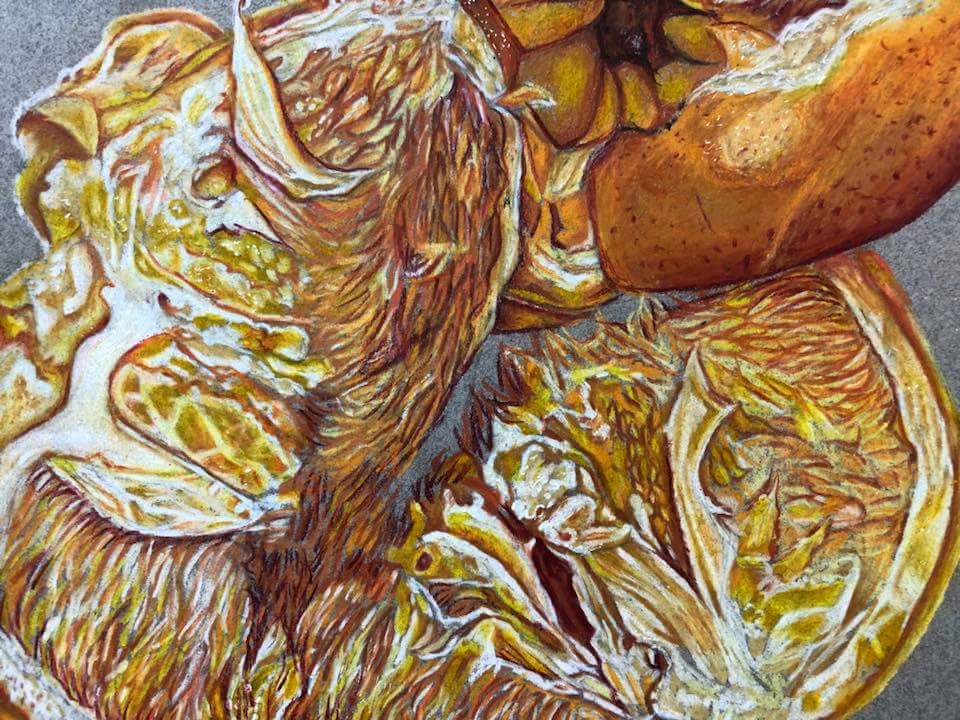 NorDaHI's tweet photo. Colored pencils can bring paper to life #ColoredPencils #MrsJames @dcsnc https://t.co/oKUFGnQctQ