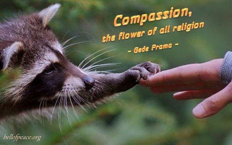 Compassion...