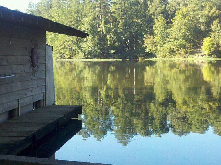 goldnexception's tweet image. My happy place at my family’s cabin on the Warrior River. Taken on my iPhone a few years ago. #O2SPHOTO