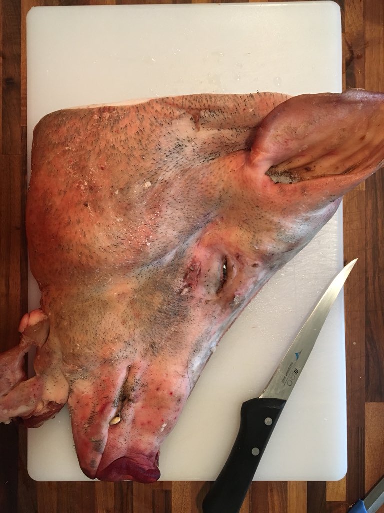 Headtotailmeats's tweet photo. Head cheese time. @ChefSteps https://t.co/sZepPsjPoG