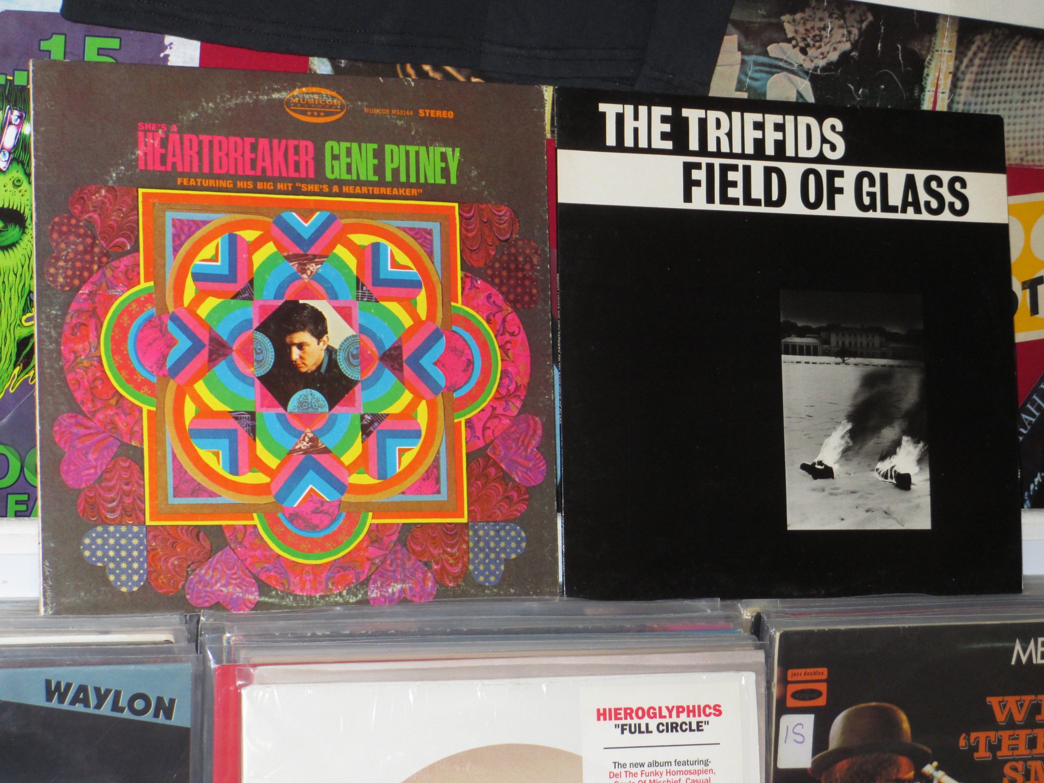 Happy Birthday to the late Gene Pitney & the late David McComb of The Triffids 