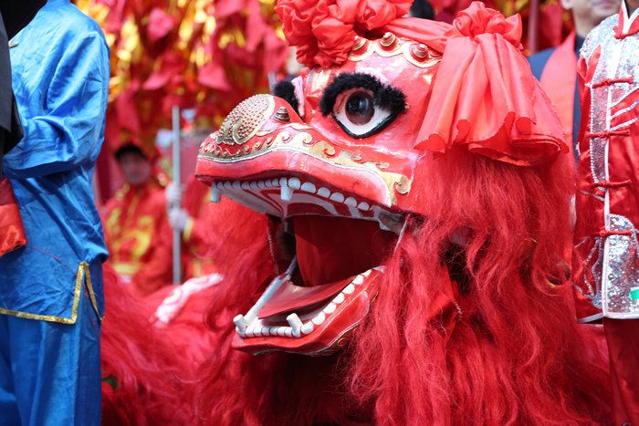 Gooddayz.nl tweet media