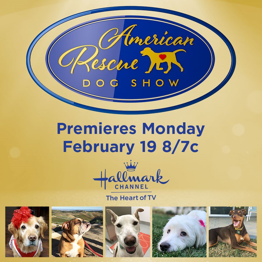 petcolove's tweet photo. Tune in to Hallmark Channel USA on Monday, Feb. 19 at 8/7c for the first American Rescue Dog Show! All of the competing pets are former shelter dogs whose lives have changed thanks to the love of their adopters. Watch to find out who is #BestInRescue! https://t.co/oQ2c7QrY3K