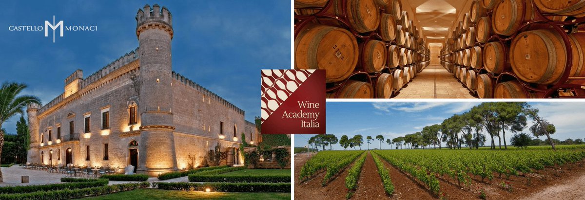 In arrivo i corsi #WSET in #Puglia: livelli 1 e 2, anche durante la vendemmia, nella prestigiosa Castello Monaci🍇Tutte le info: bit.ly/2szsE2x 🍷#wine #winelover #sommelier