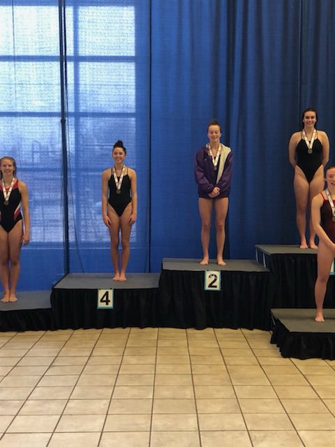 Girls Swim & Dive tweet media