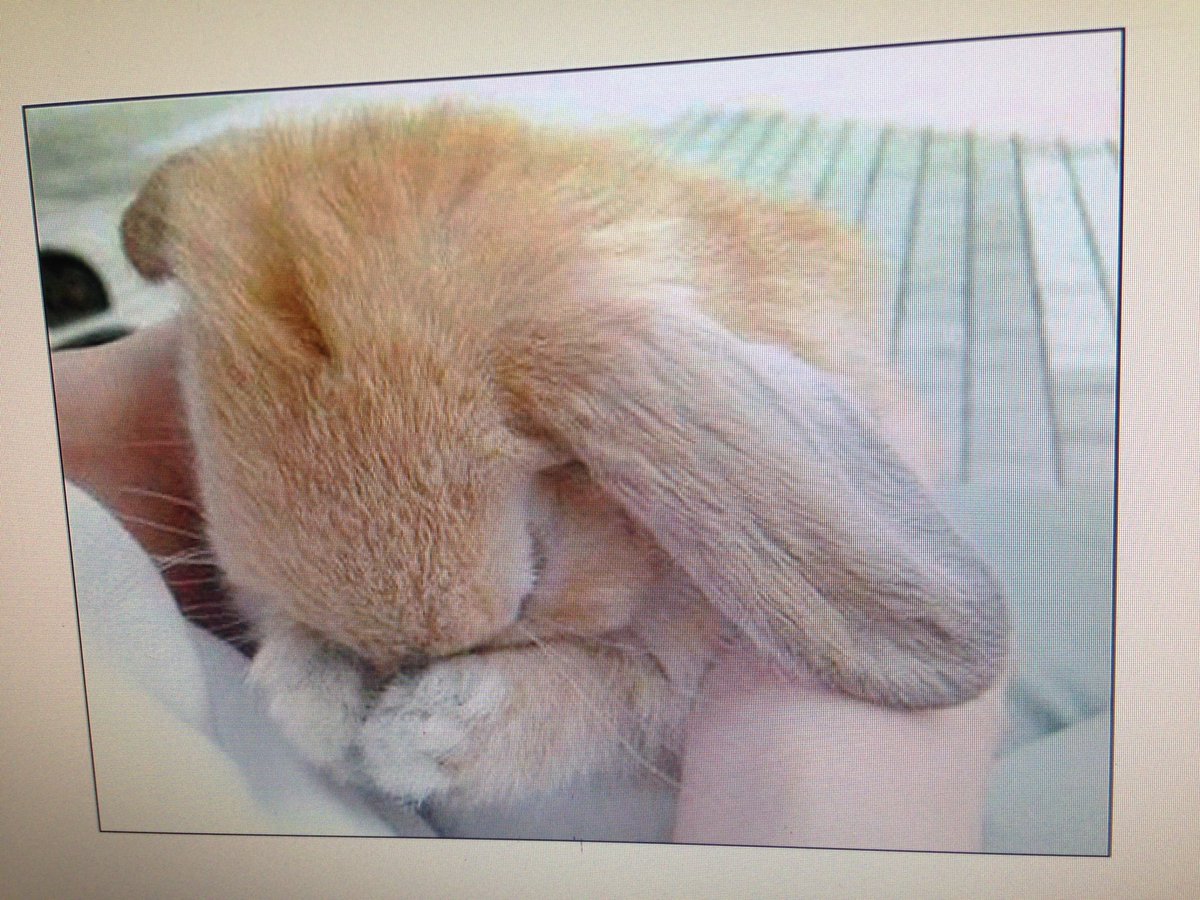 Starr2Inspire's tweet image. Praying for the families that lost loved ones in Parkland, Florida. #PrayersforFlorida #FindPeaceinGod #JustBeingLoved