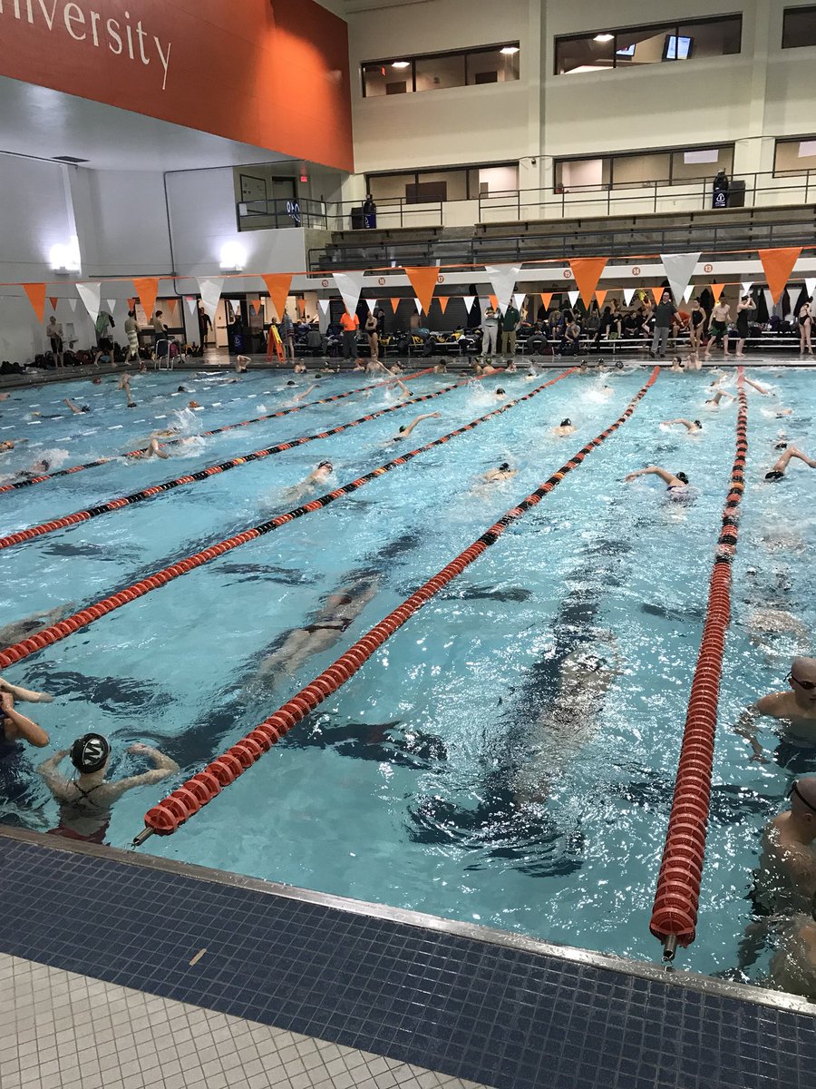 BeesSwimming's tweet image. Warm ups have started!! #gritwarmup #grittygroup #fastfebruary2k18