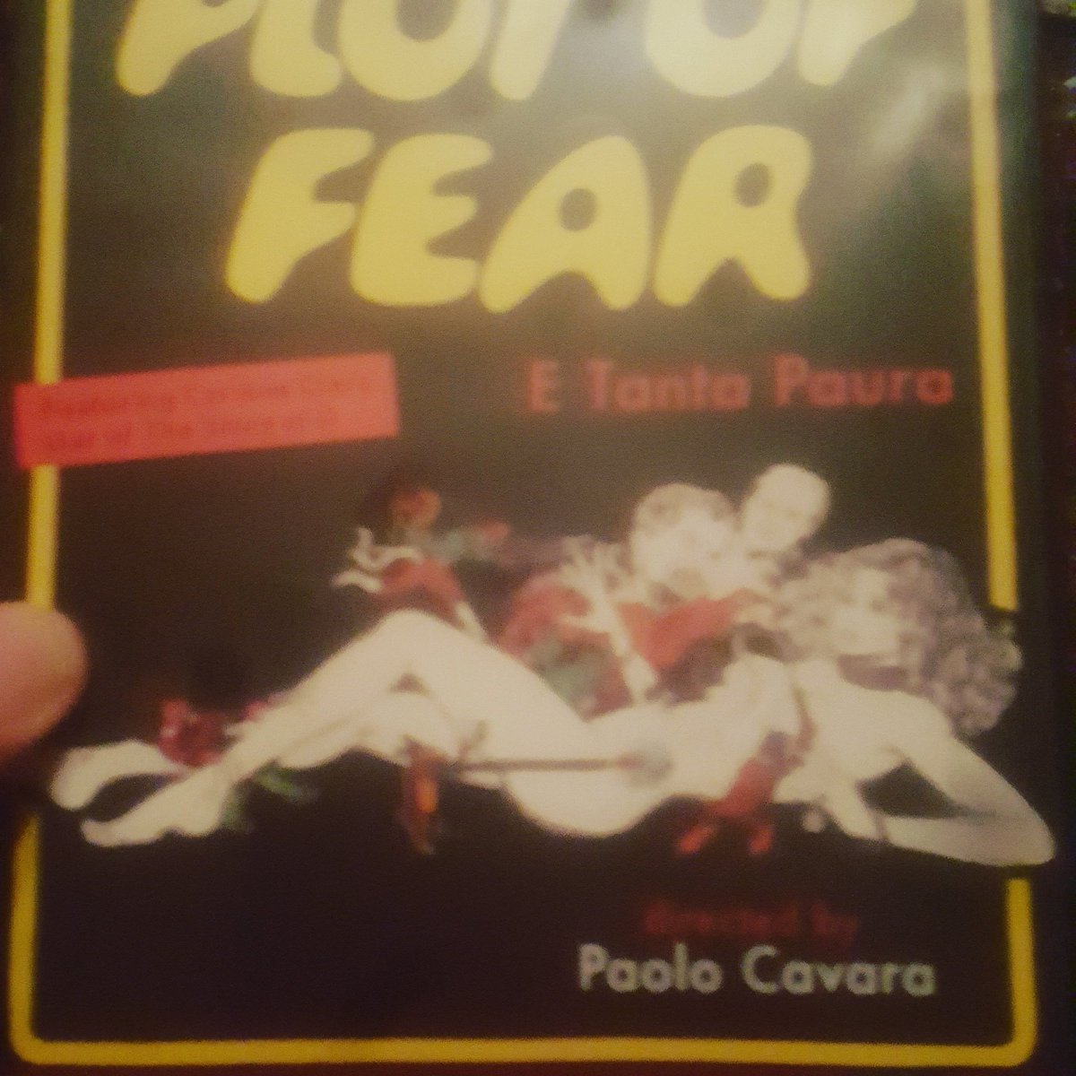 Next up! #plotoffear #paolocavara #giallo