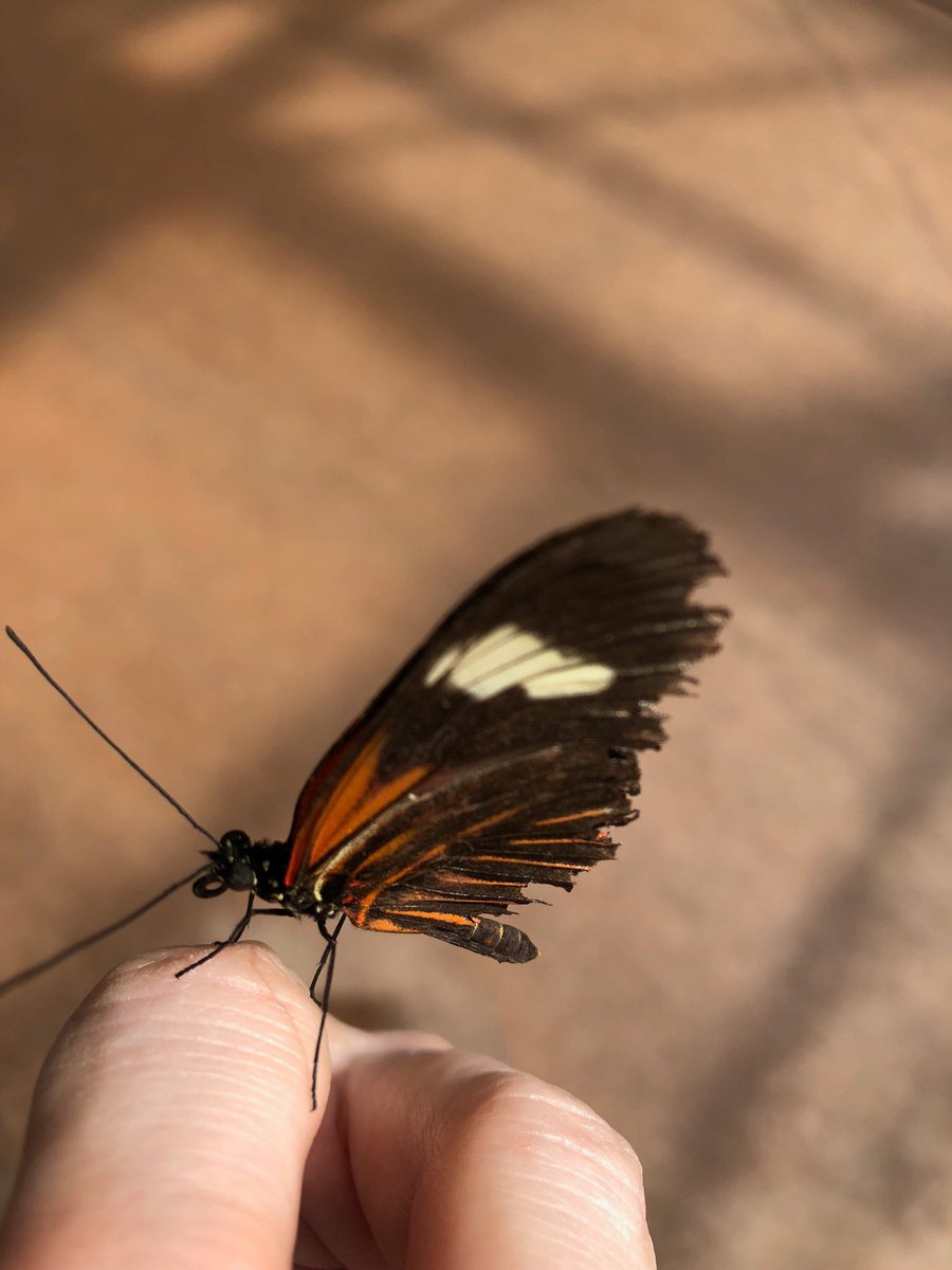 Lin Erickson tweet media