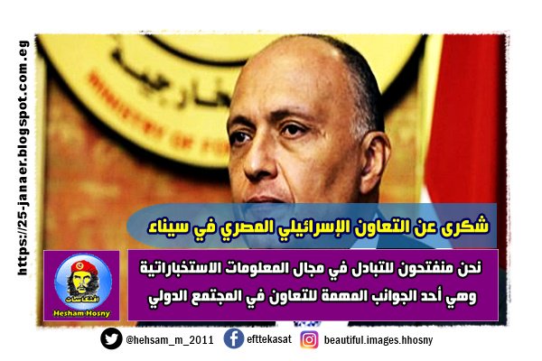 وزير الخارجية يرد على سؤال عن التعاون الإسرائيلي المصري في سيناء بـ«ميونخ»