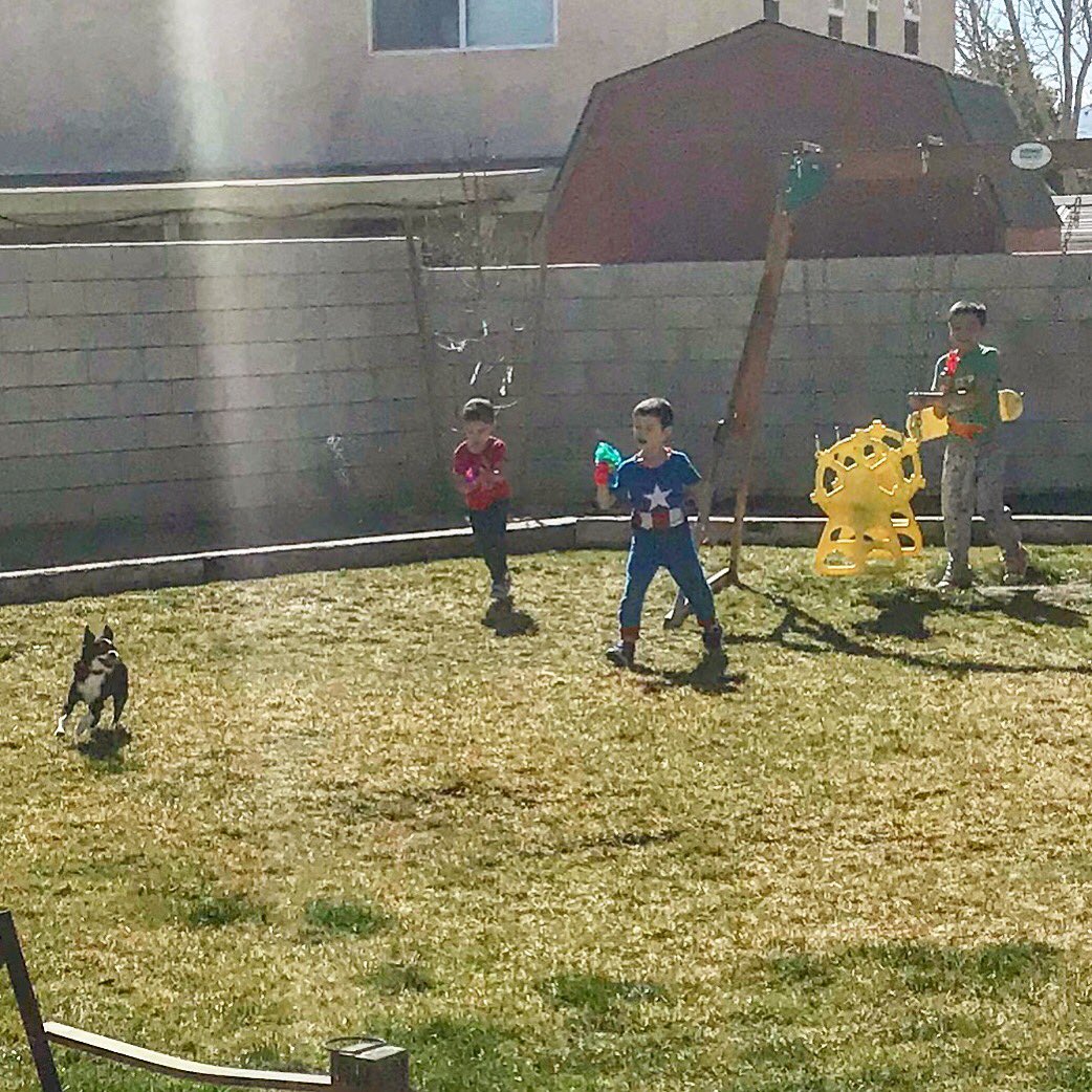 Rpalen87's tweet photo. What a Saturday morning is supposed to look like π #playingoutside #inpjs #withthepuppy #fatherofallboys https://t.co/zHWxGAfse9
