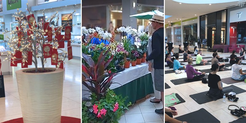 JOYAapartments's tweet image. Did you know every Sunday there is a #Dadeland Mall Farmers Market plus a FREE Yoga Session too? goo.gl/A7gxui 
This 2/18 you can also enjoy Chinese arts &amp;amp; crafts and face painting from 1-3pm for the new year! #SundayFunday