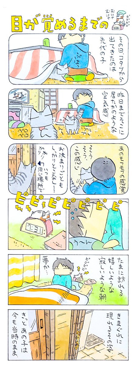 ট ইট র フェリシモ猫部 夢の中で あの子から 寝ている間のプレゼント 次はいつ来てくれるかな 久保智昭さんの 猫色スケッチブック 他一枚更新しています T Co Dqj2tmw4oe