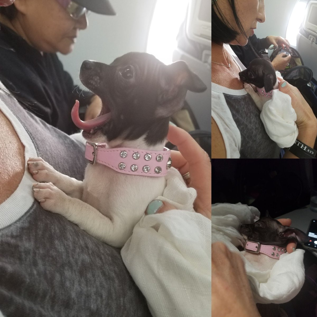 HickmannCorey's tweet photo. Best @Delta flight passenger ever.  #ATL-MSP #DL1934 #DeltaAirlines @mspairport https://t.co/k2zAlSKYOg