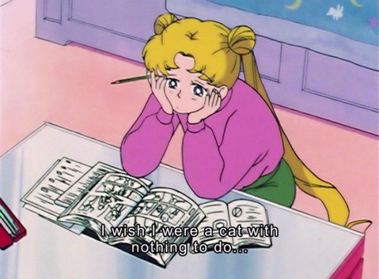 Sailor moon show image