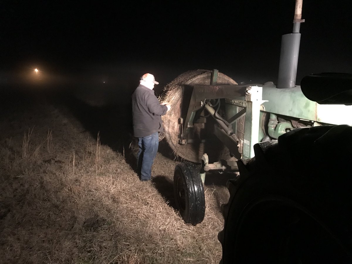 thecountyagent's tweet photo. After an afternoon getting his semi unstuck the cows still have to be fed! This is what my hero looks like! #dad #notHankKimball #farmer #hero https://t.co/LAhGj131Pr