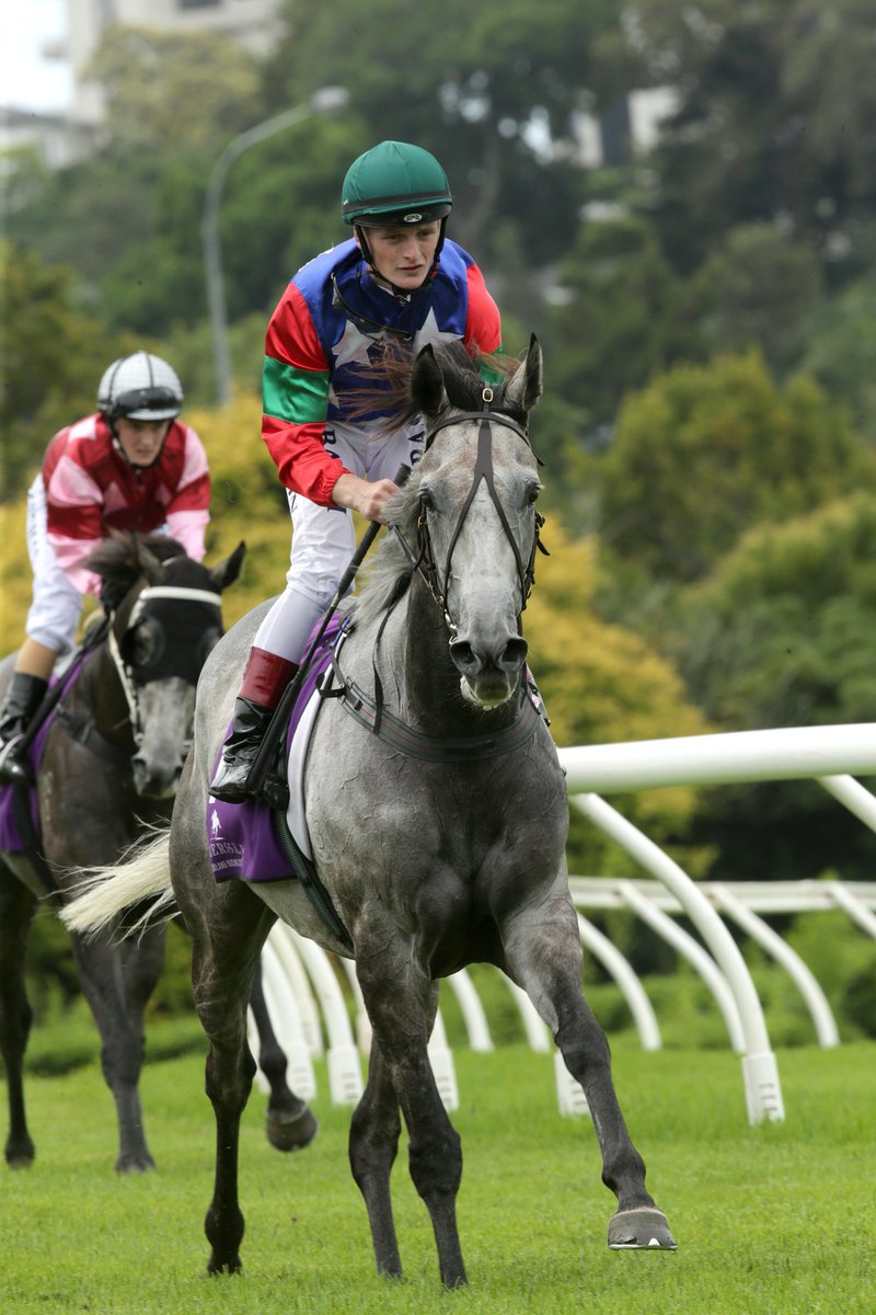 nzracingnews's tweet photo. Trainer Peter Lock got what he was hoping for when #SouthernPrincess made short work of a rain affected track at @Ellerslie_Races on Saturday https://t.co/B7srpDNZSq https://t.co/wy6h6rEekJ