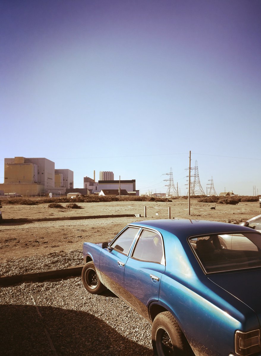 Saffron Swansborough tweet media