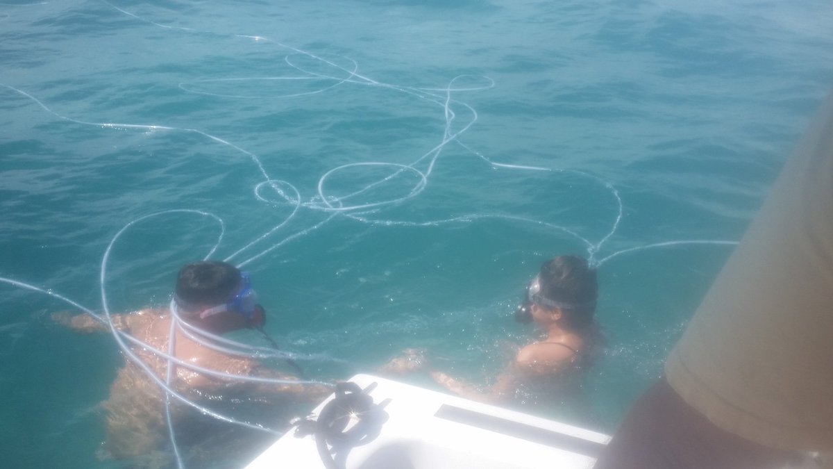 UniqueDiving's tweet photo. A good day of diving. https://t.co/0pKsnAZjnY https://t.co/X4lJTRQtCM