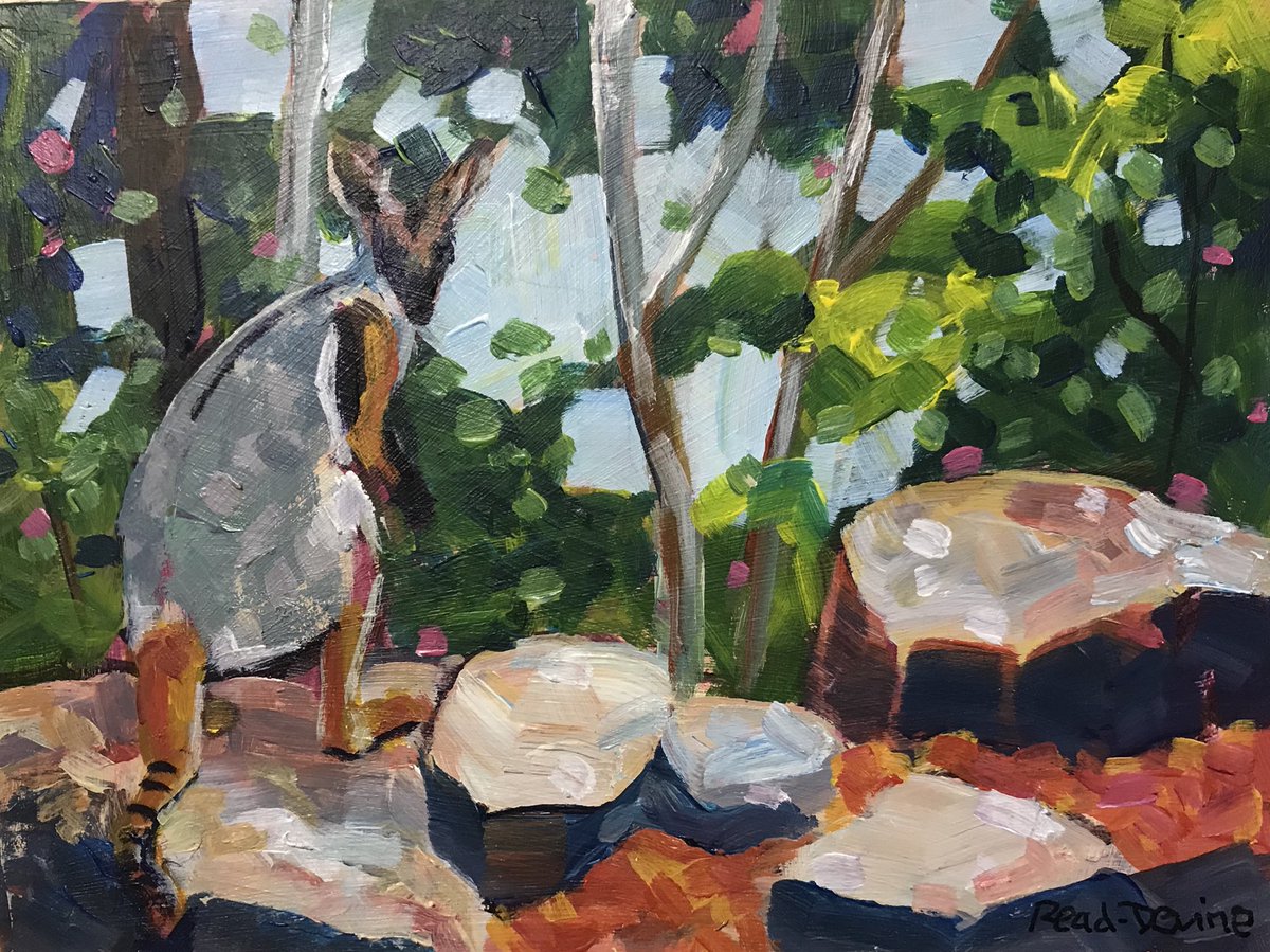 readdevine's tweet photo. Finally sent this guy hopping off to #tae18 #twitterartexhibit #fundraiser #rockwallaby #readdevine https://t.co/eRedTGkPPO