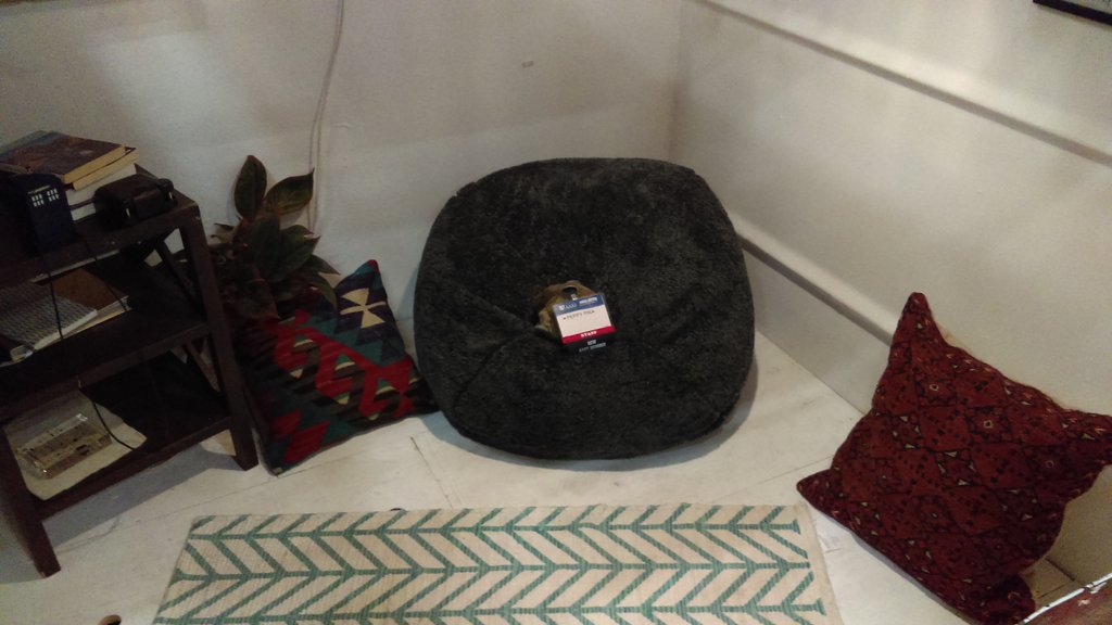 Learning how to make a house out of a recycled dumpster with <a href="/dumpsterproj/">The Dumpster Project</a> at #AAASmtg #FamSciDays. #PeppyPika