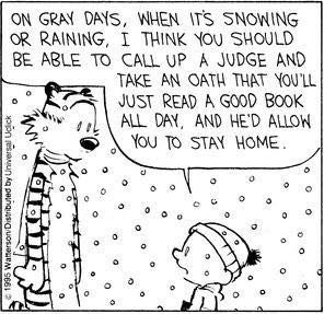 Calvinn_Hobbes's tweet photo. Exactly what I’m doing today. 👌🏻 https://t.co/Q8SYTpoJae