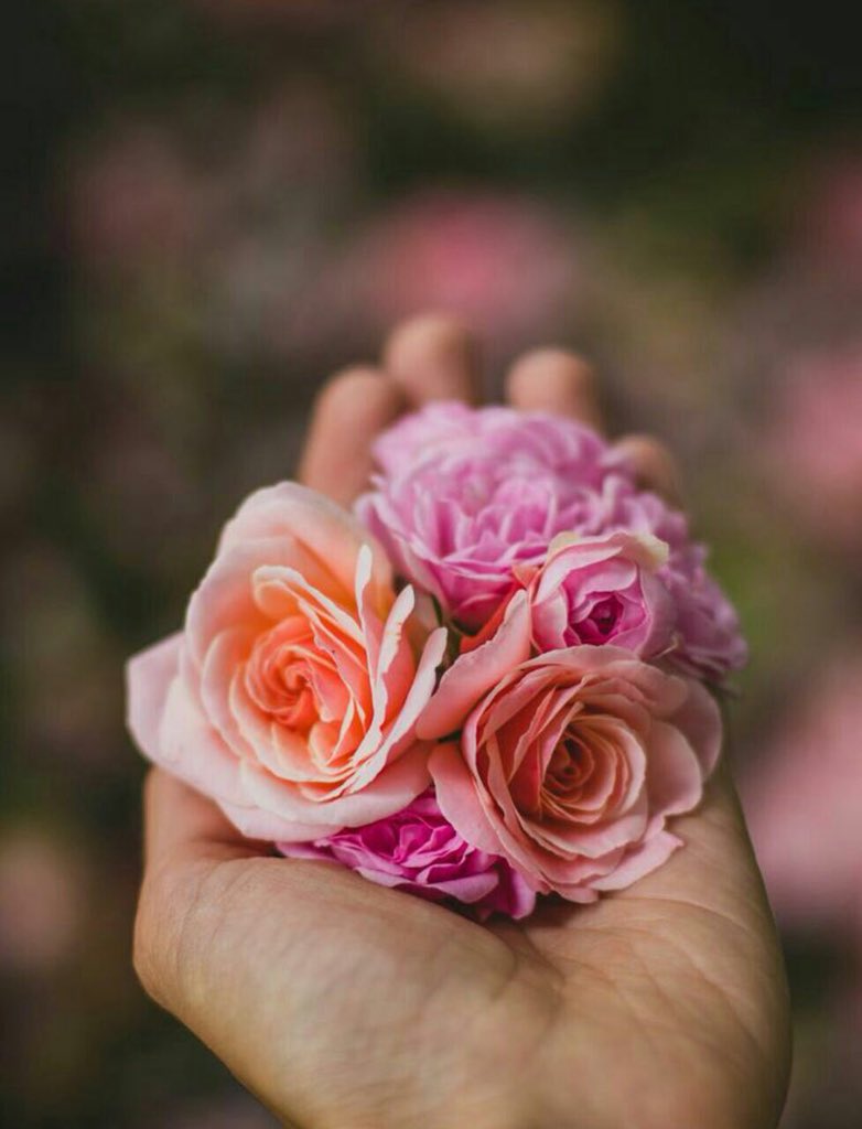 ❥

الذاكرة لا تحتفظ بالوجوه بقدر ما تحتفظ بالمواقف فكن صاحب موقف مشرف لا ينسى ..♡