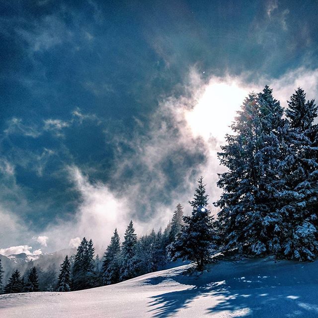 michael_backes's tweet image. Swiss winter landscape (1/7). #inlovewithswitzerland #visitswitzerland #heidiland #feelthealps #switzerland🇨🇭 #stmargrethenberg #jägeri #stefisbergwirtschaft #swisswinter #verliebtindieschweiz #pfäfers #badragaz #winterwonderland #beautifulswitzerland #igerswiss